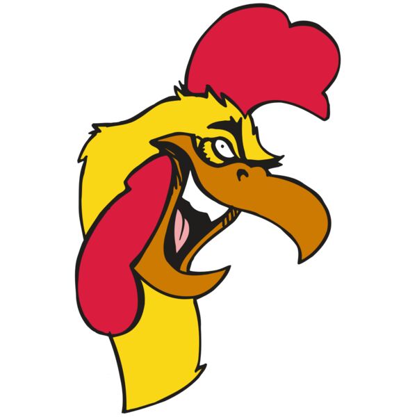 AR5 Gamecock 08 RQC Vignette