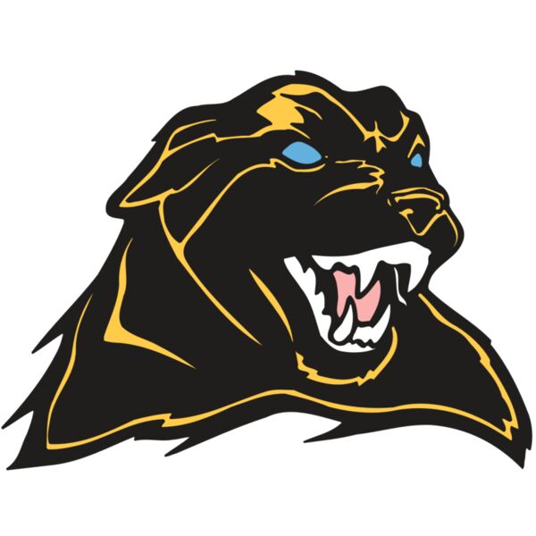 AR COUGAR 42 RC Vignette