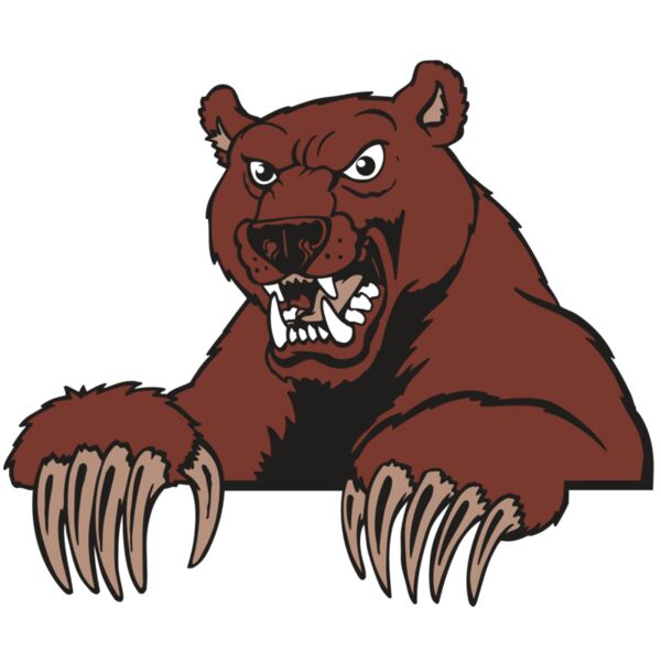 AR BEAR 27 RC Vignette