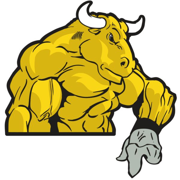 AR BULL 13 RC Vignette