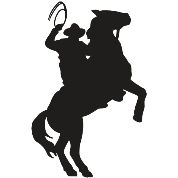 AR COWBOY 26 RC Vignette