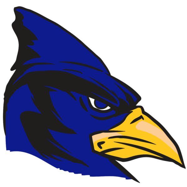 AR13 BLUEJAY 02 RQC Vignette