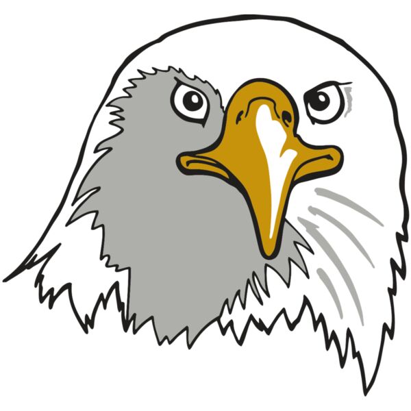 AR EAGLE 39 RC Vignette