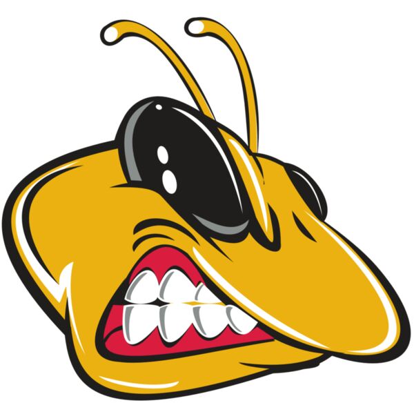 BEE HD0504 RQC Vignette