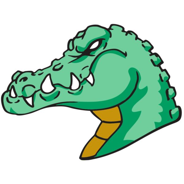 AR GATOR 31 RQC Vignette