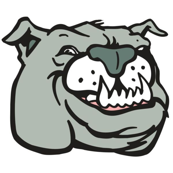 AR BDOG 44 RC Vignette