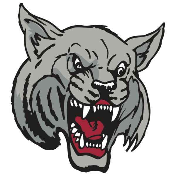 AR WILDCAT 42 RC Vignette