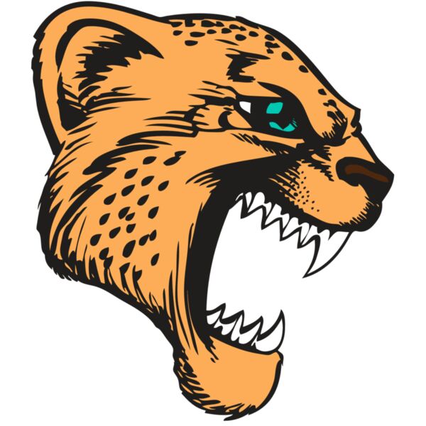 BAW CHEETAH 11 RC Vignette