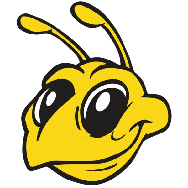 AR BEE 28 RC Vignette