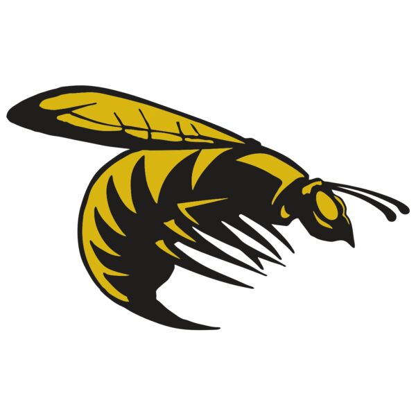 AR BEE 49 RC Vignette