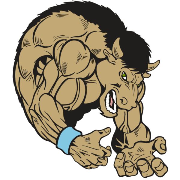 AR5 BUFFALO 12 RQC Vignette