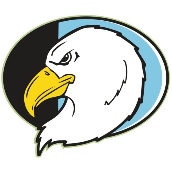 AR EAGLE 55 RC Vignette