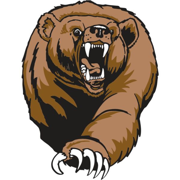 AR BEAR 74 RC Vignette