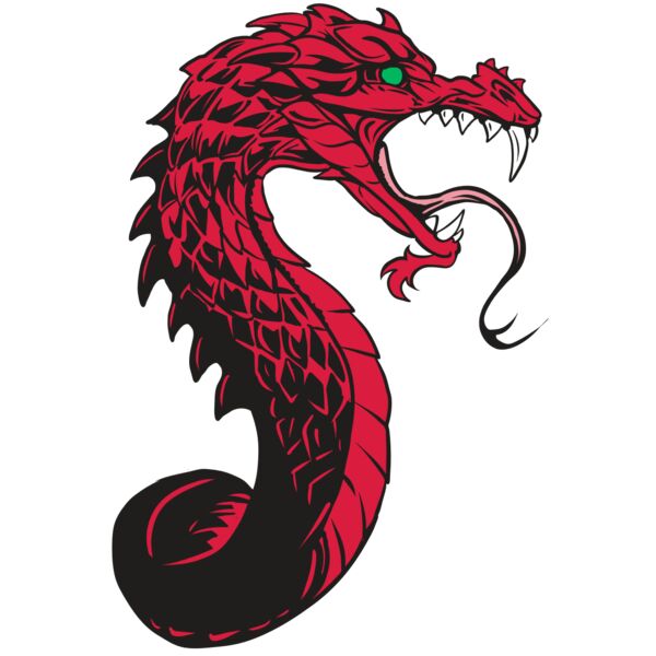 AR24 DRAGON 06 RQC Vignette