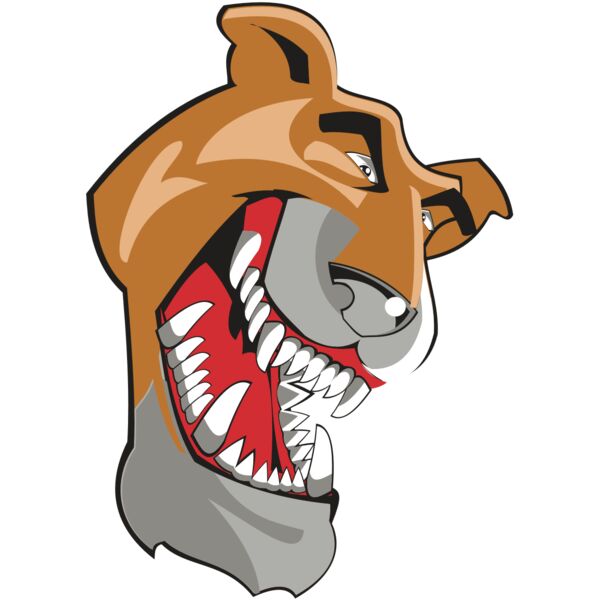 COUGAR HD0501 RQC Vignette