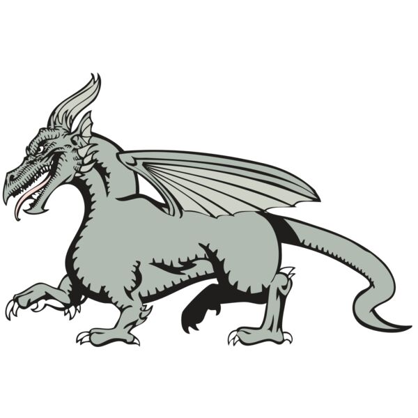 BAW DRAGON 20 RC Vignette