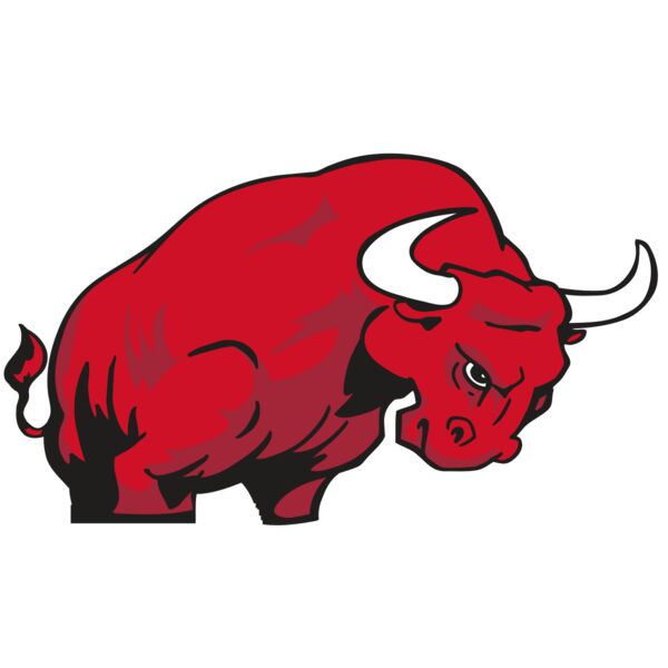 AR BULL 12 RC Vignette