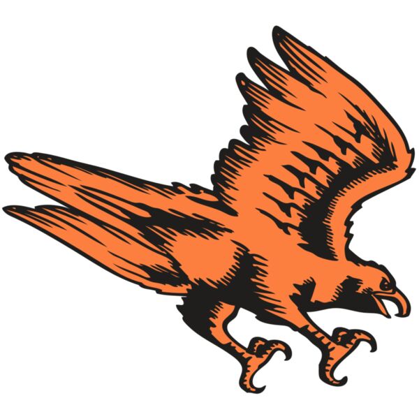 BAW HWK FLCN 04 RC Vignette