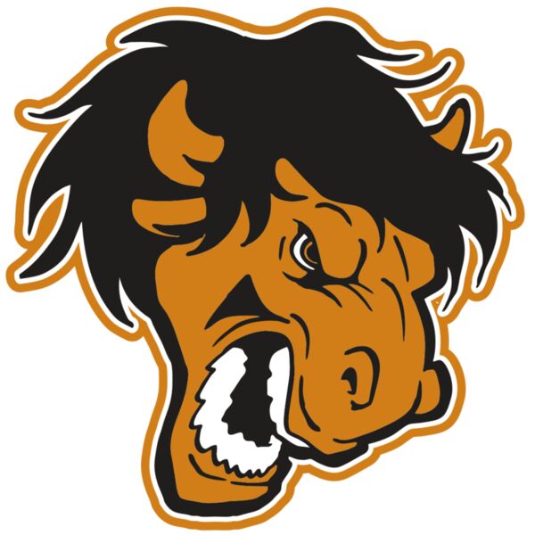 AR BUFF 25 RC Vignette