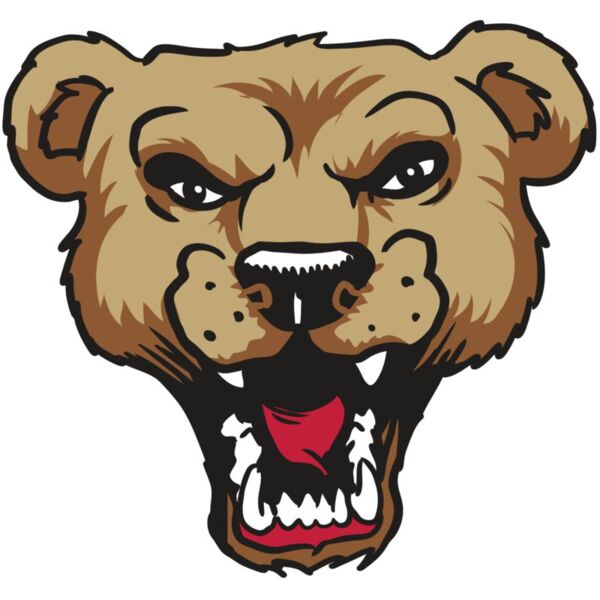 AR9 BEAR HD 01 RQC Vignette