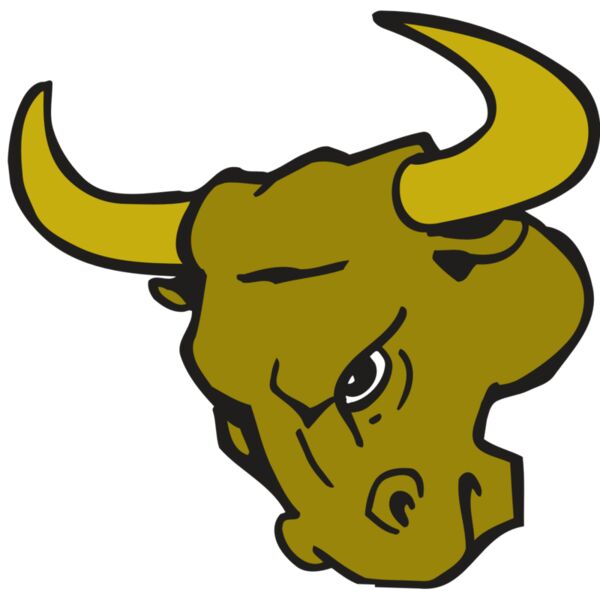 AR BULL 26 RC Vignette