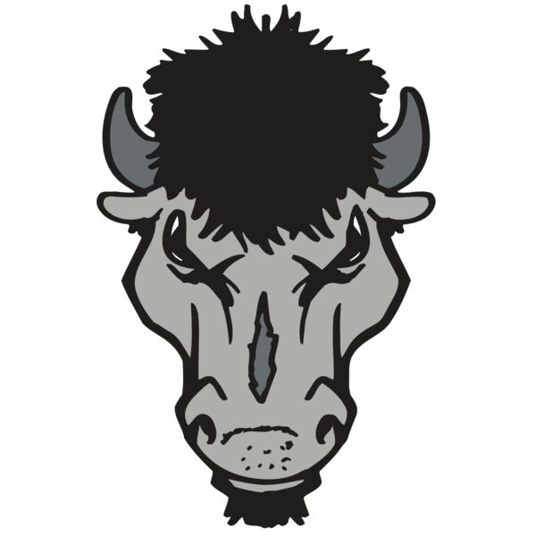 AR BUFFALO 15 RC Vignette