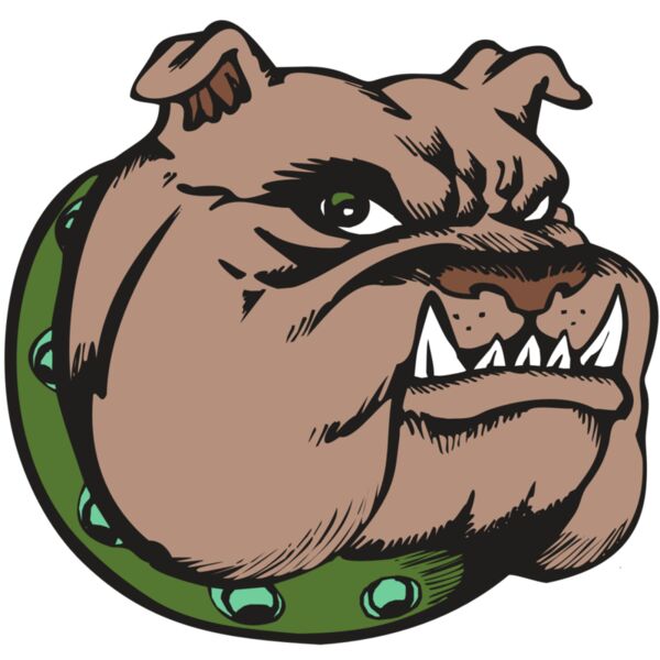 BAW BULLDOG 14 RC Vignette