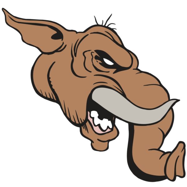 AR5 Elephant 15 RQC Vignette