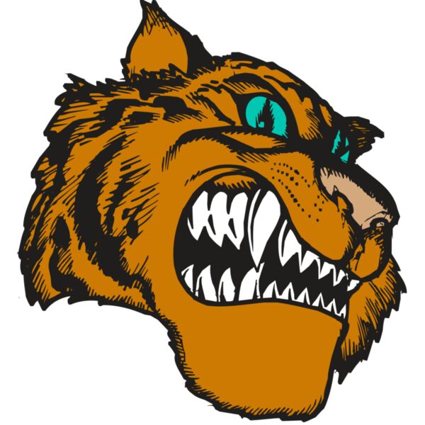 BAW TIGER 11 RC Vignette