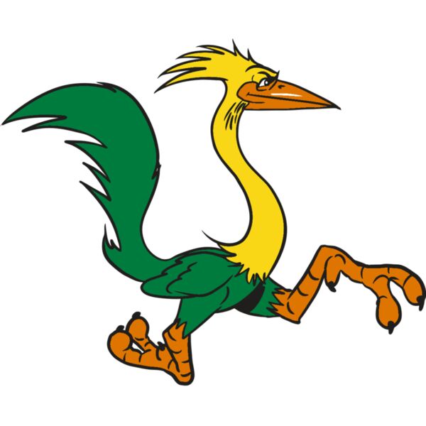 AR20 ROADRUNNER 36 RQC Vignette