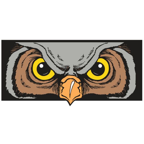 AR5 Owl 13 RQC Vignette