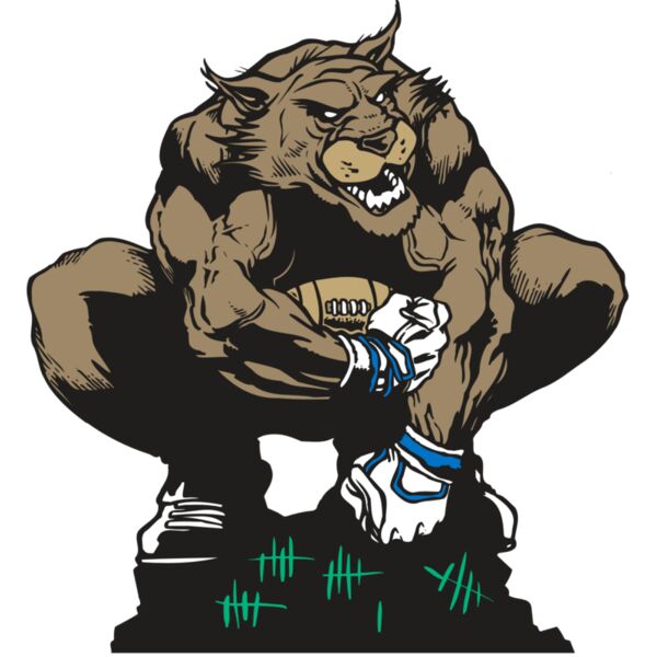 AR WILDCAT 34 RC Vignette