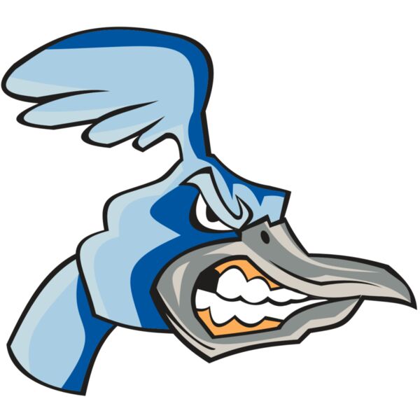 ROADRUNNER HD0503 RQC Vignette