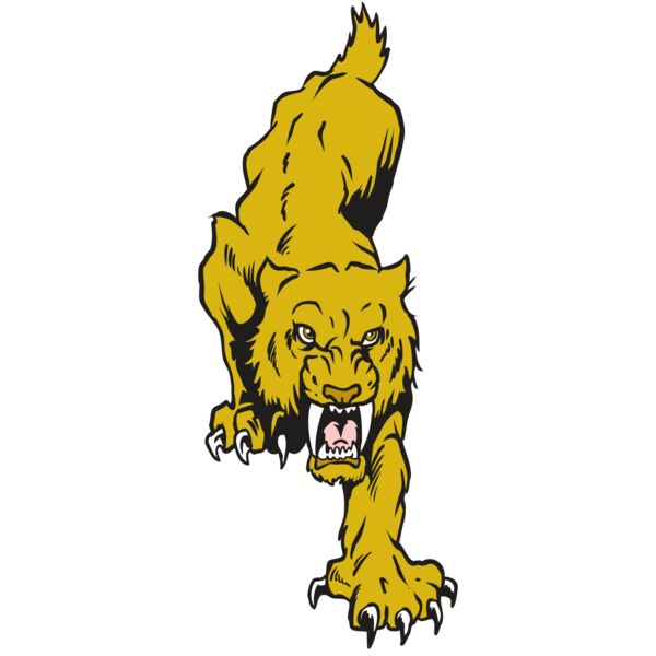 AR30 SABER 08 RQC Vignette