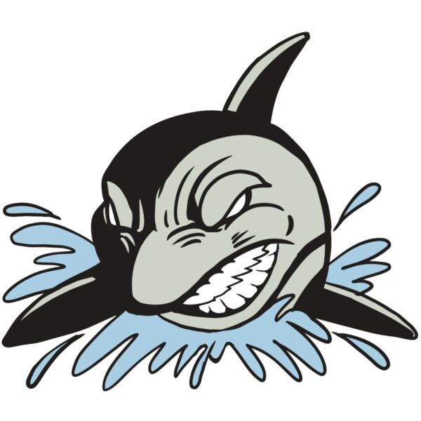 AR19 ORCA 02 RQC Vignette