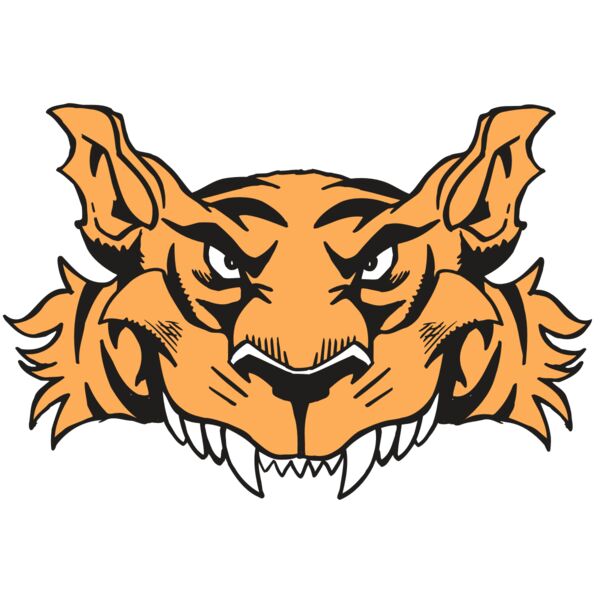 AR5 Tiger 07 RQC Vignette