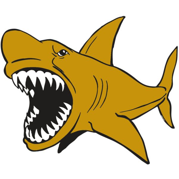 AR  SHARK 21 RC Vignette