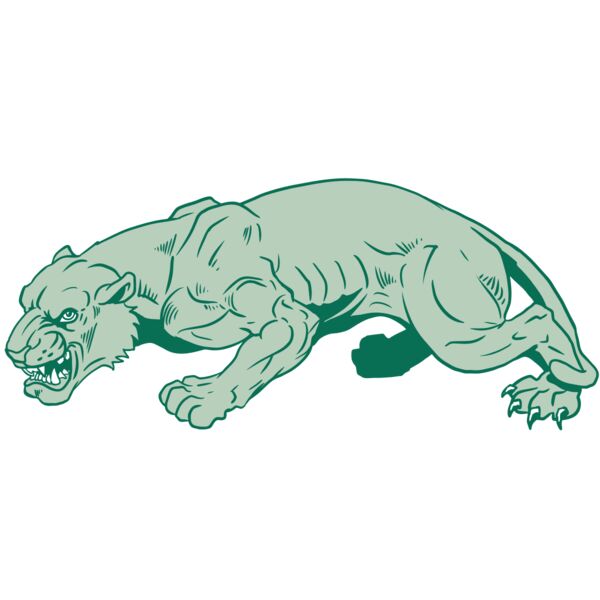 AR10 PANTHER 05 RQC Vignette