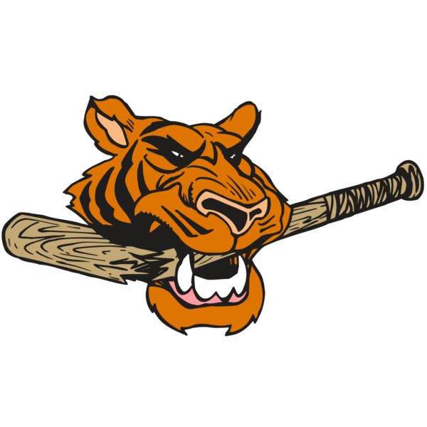 AR5 Tiger 11 RQC Vignette