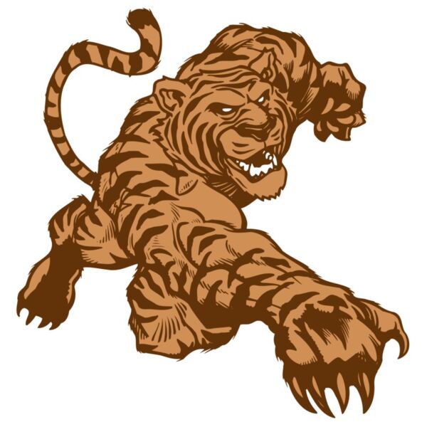 AR TIGER 56 RC Vignette