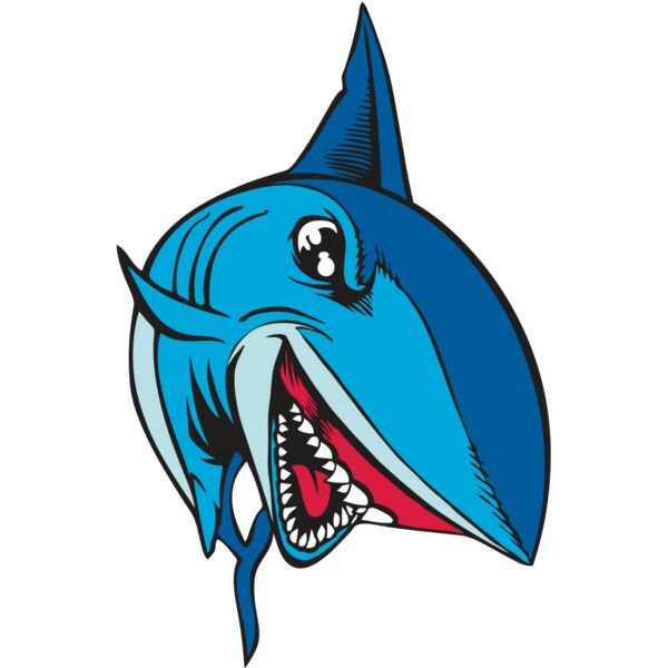 BAW SHARK 02 RC Vignette