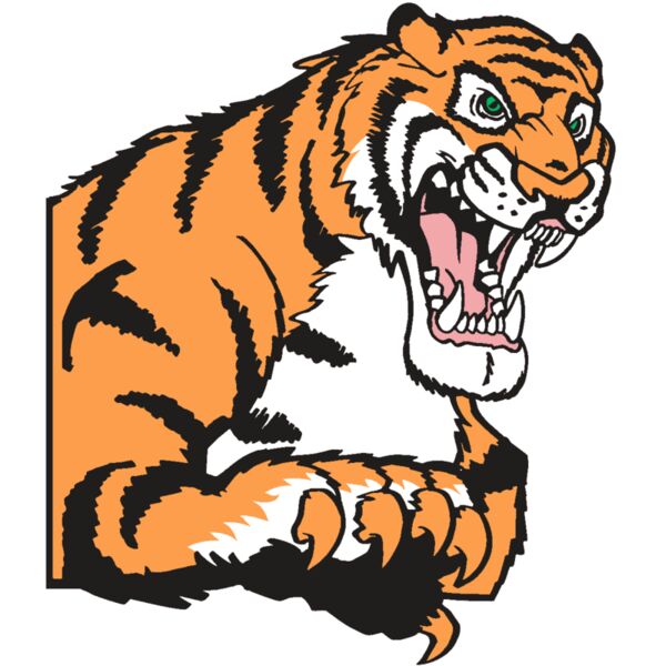 AR TIGER 10 RC Vignette