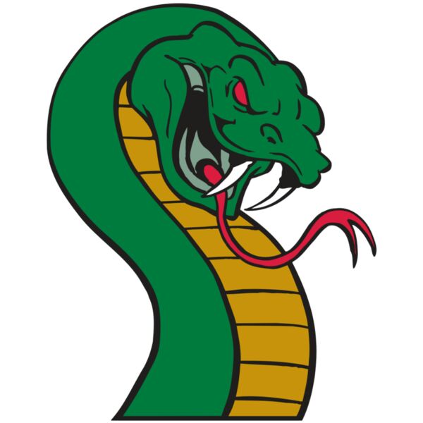 AR SNAKE 12 RC Vignette