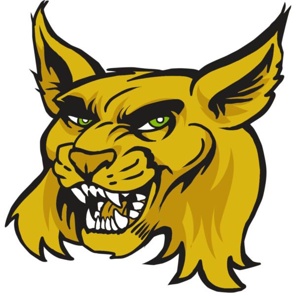 AR30 WILDCAT 03 RQC Vignette