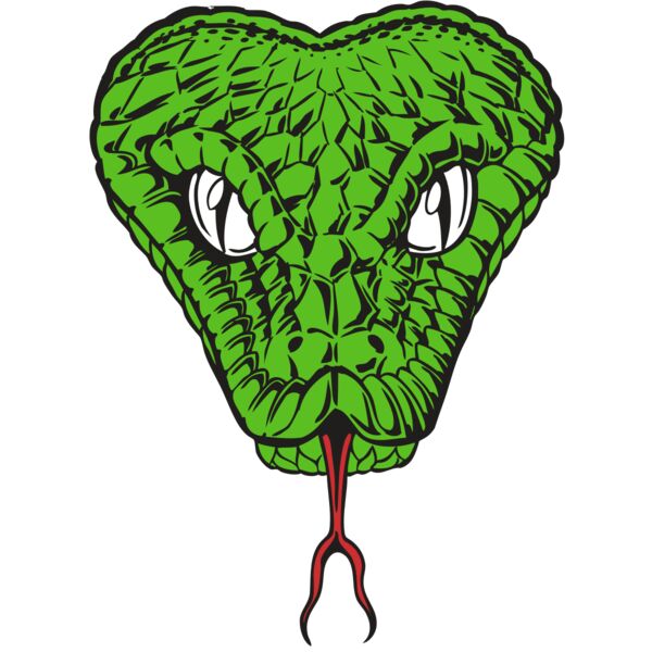 BAW SNAKE 08 RC Vignette