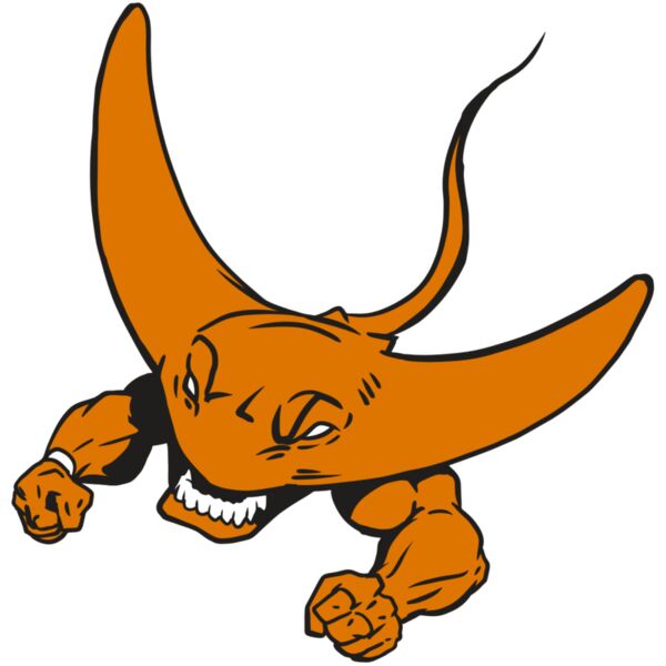 AR19 STINGRAY 06 RQC Vignette