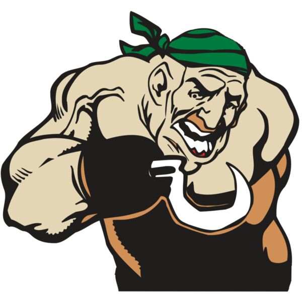 AR5 PIRATE 26 RQC Vignette