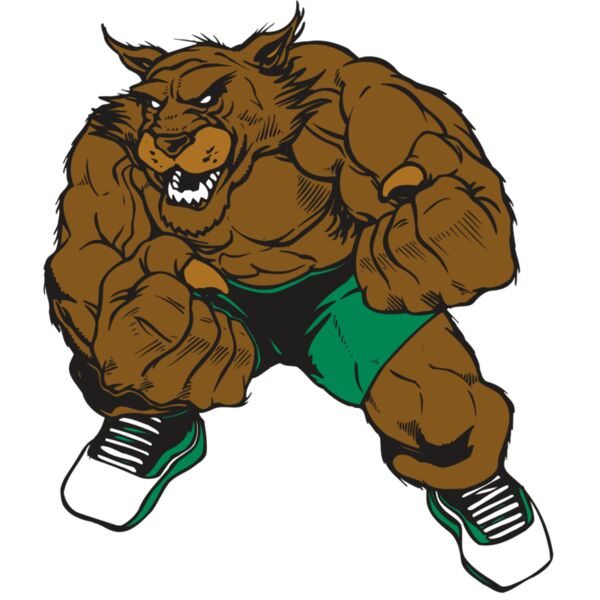 AR WILDCAT 45 RC Vignette