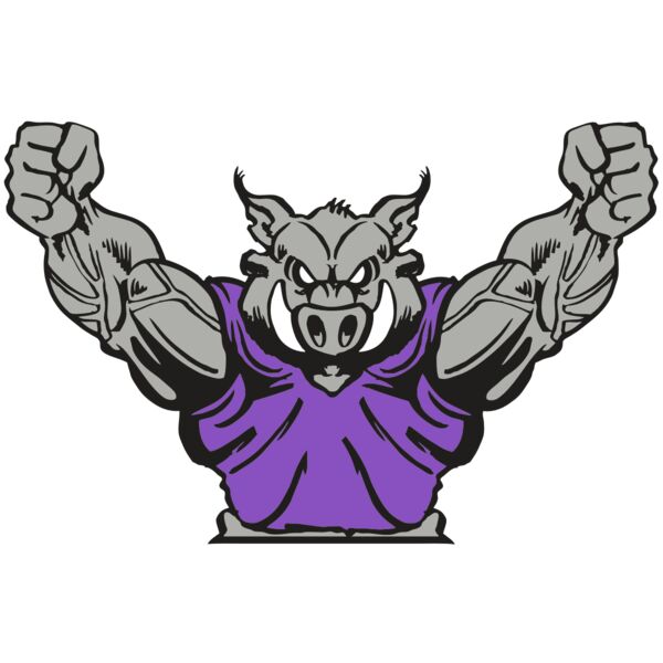 AR RAZORBACK 10 RC Vignette