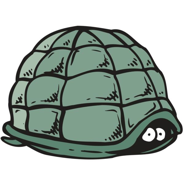 AR5 Turtle 10 RQC Vignette